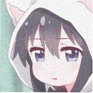 读者沈未头像